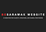 design a professional canva pitch deck or business presentation